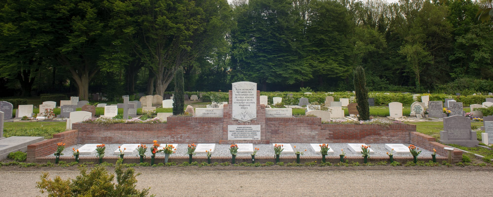 Oranje Vrijbuiters blog